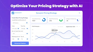 Intelis in action - Conquer your market niche effortlessly with this unparalleled pricing intelligence platform.