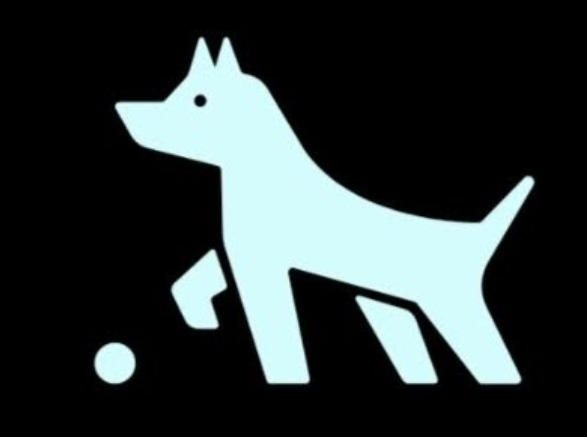 Terriers anteriores