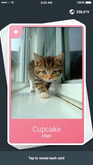 Kitten Cards - The Cat Trading Card Game gallery image