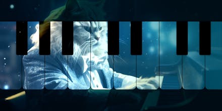 Cat Piano gallery image