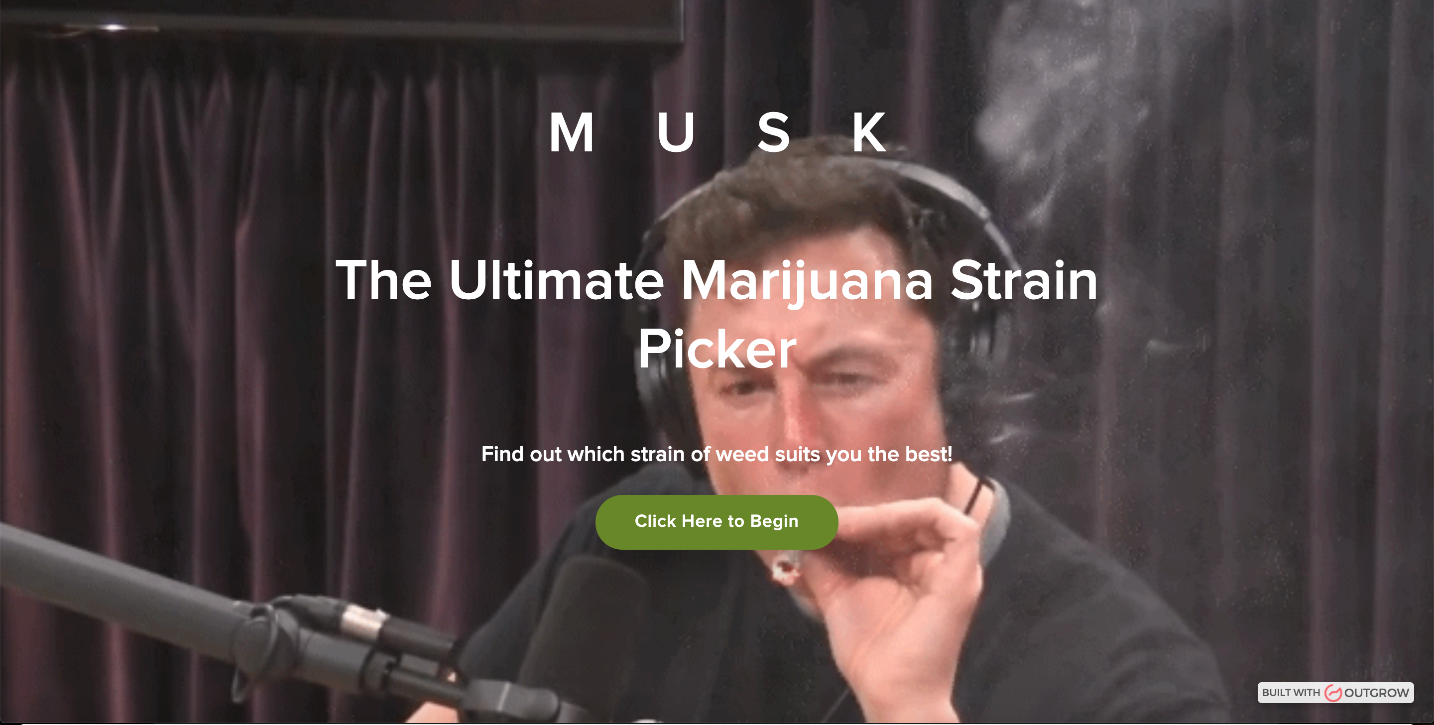 Which Cannabis Strain Suits You Best? gallery image