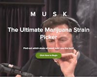 Which Cannabis Strain Suits You Best? media 1