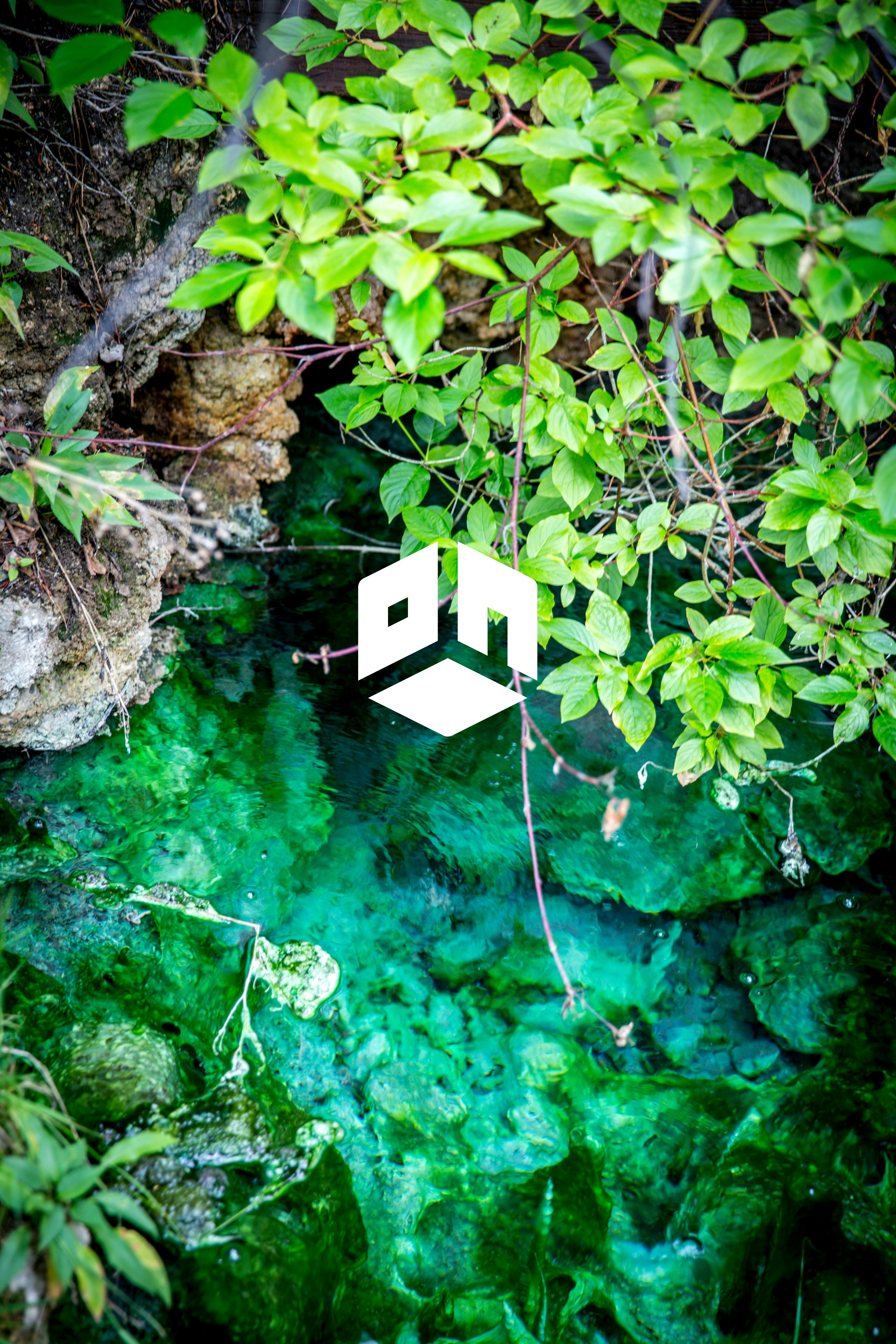 roomtime gallery image