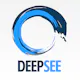 DeepSee
