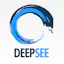 DeepSee