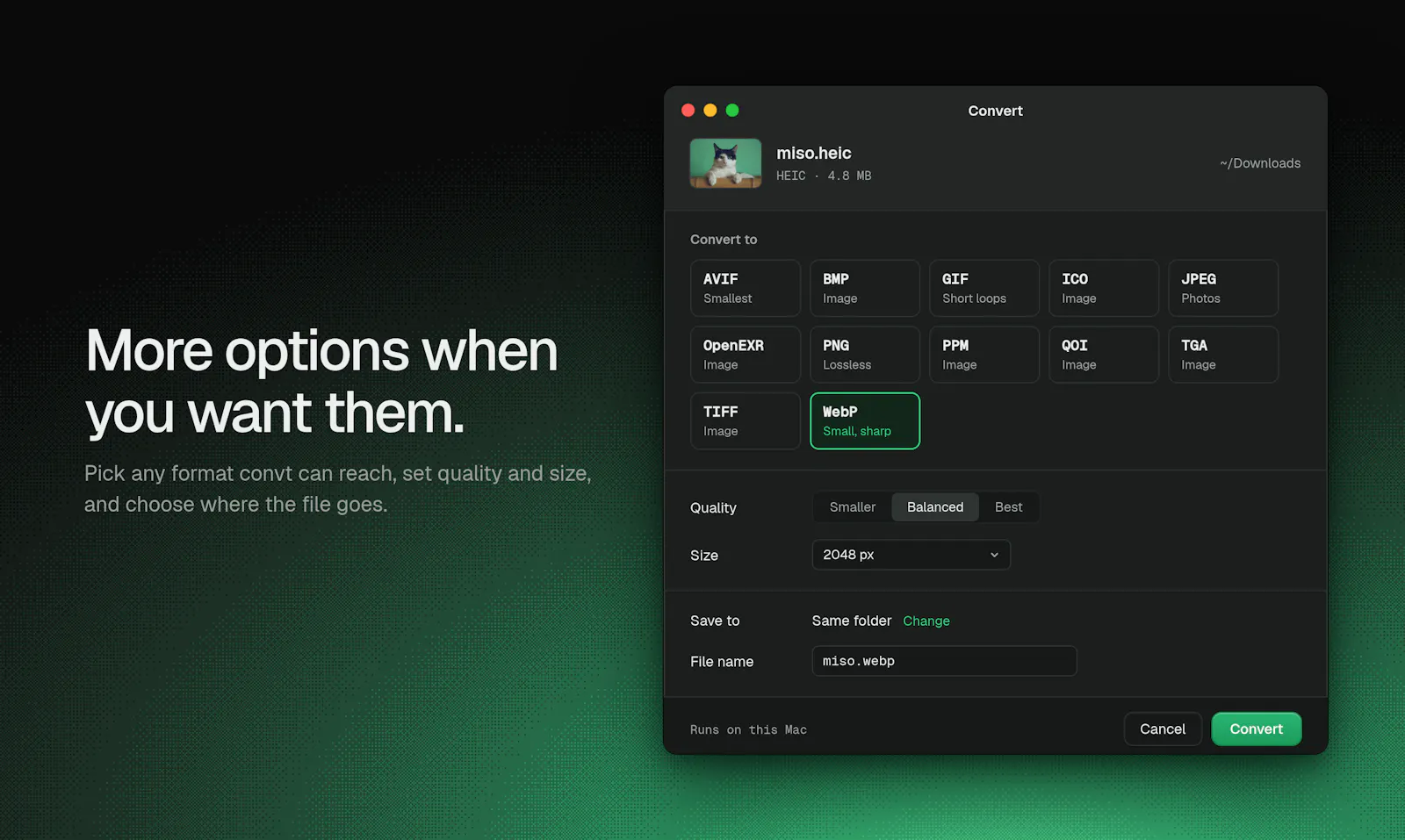 convt screenshot 6