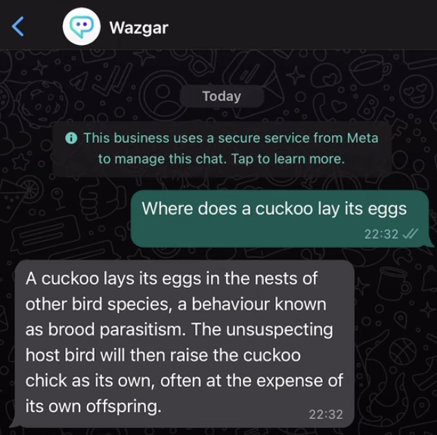 Wazgar - chatgpt en whatsapp - Usar chatgpt dentro de Chrome es aburrido. media 1