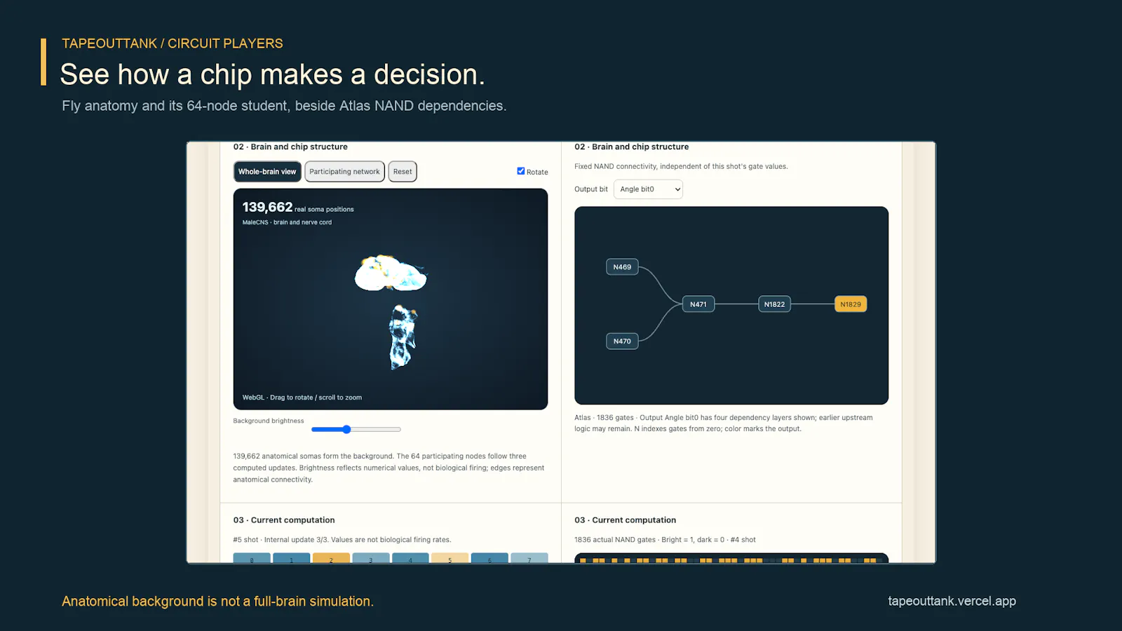 TapeOutTank screenshot 3