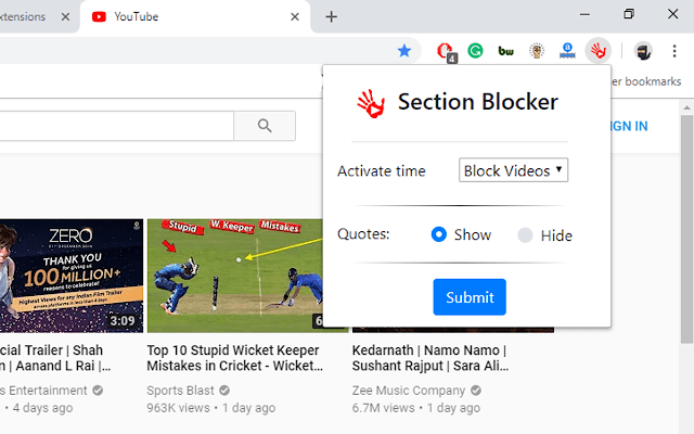 Section Blocker gallery image