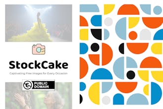 StockCake gallery image