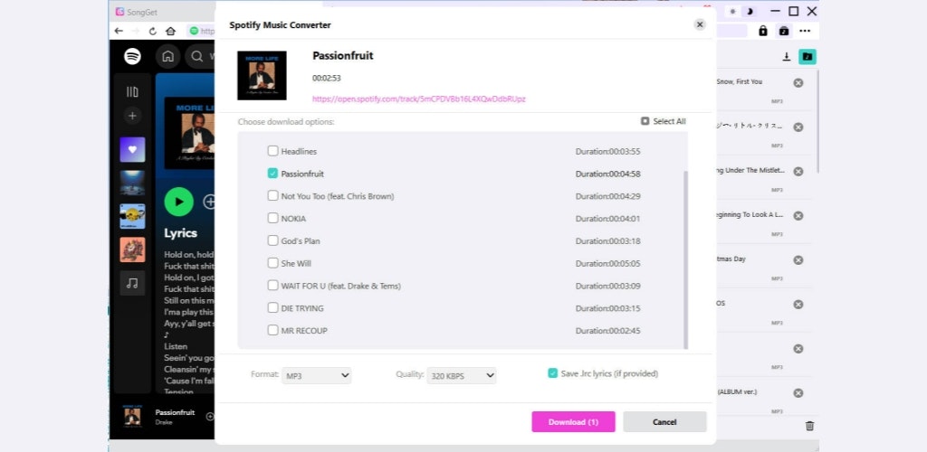 SongGet - Screenshot 3 showing product features and functionality