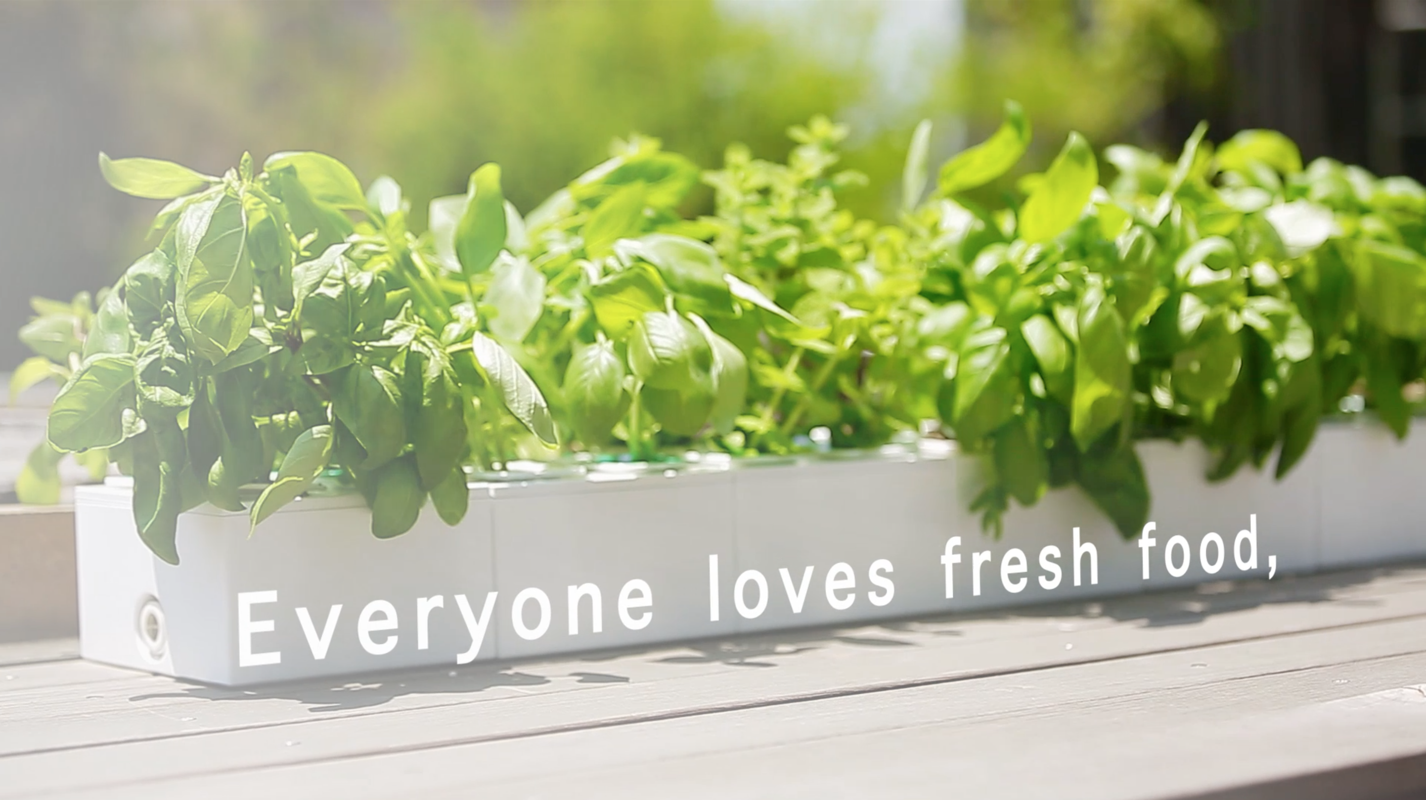 PLANTY SQUARE gallery image