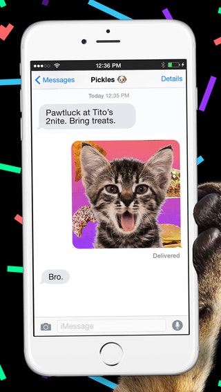 Giphy Cam 2.0 gallery image