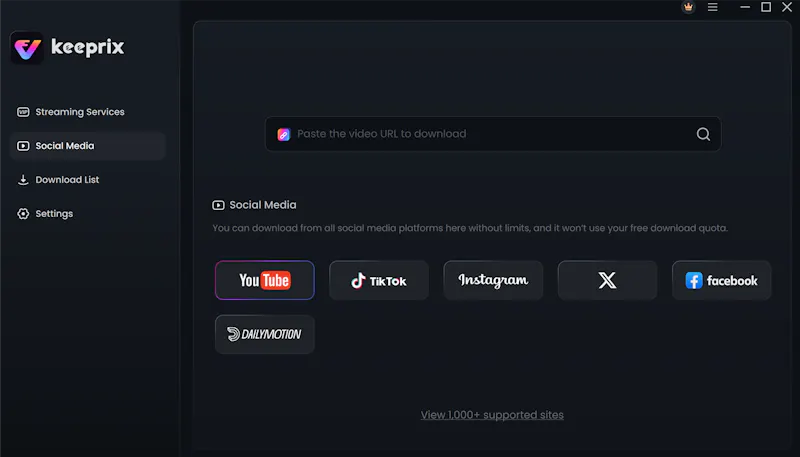 Keeprix Video Downloader screenshot 2