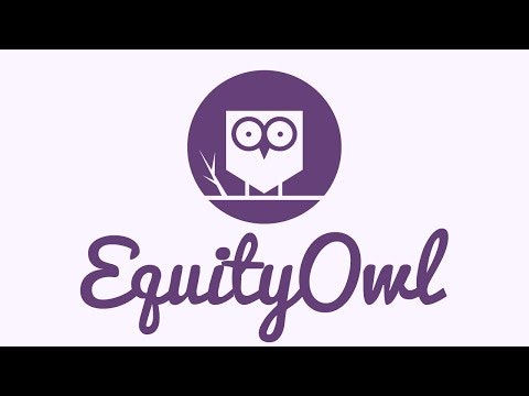 Equity Owl gallery image
