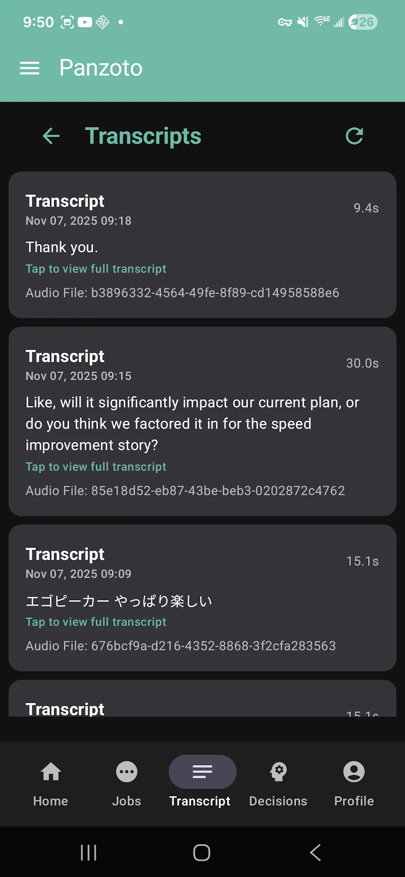 Panzoto screenshot 2