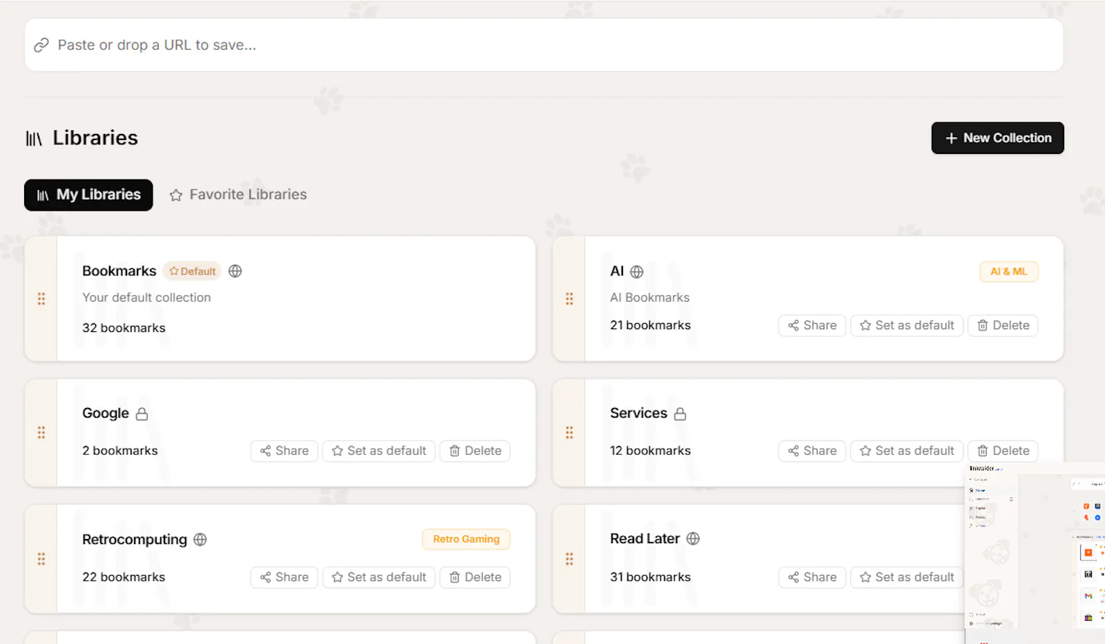 linkraider screenshot 3