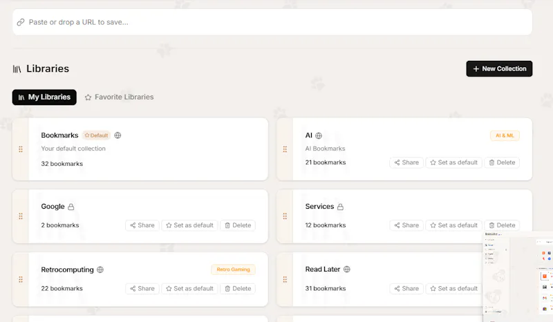 linkraider screenshot 3