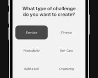 Goals & Challenges by Fini media 1