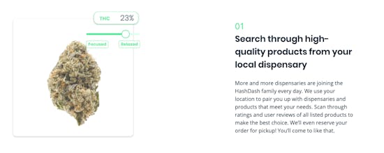 HashDash gallery image