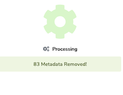 Remove Metadata