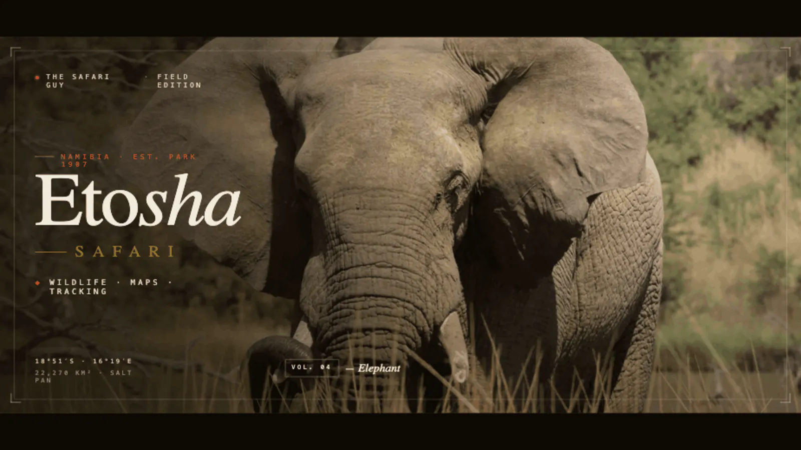 The Safari Guy gallery image