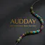 Audday Energy Reading