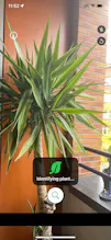 Plantera gallery image