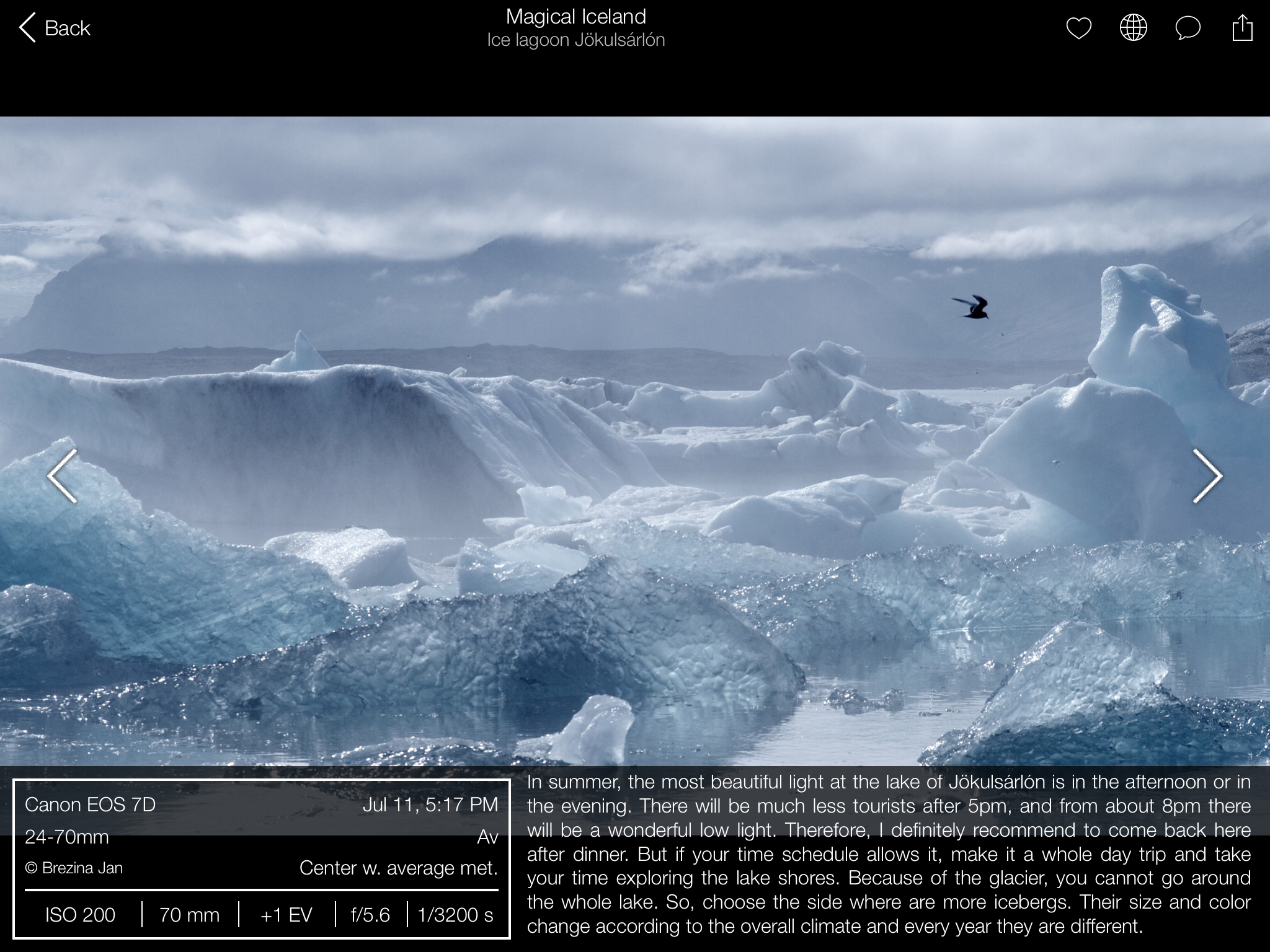 Fripito gallery image