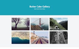 Butter Cake Modern Lightweight CSS Framework media 3