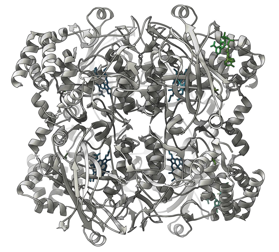 SAMSON gallery image