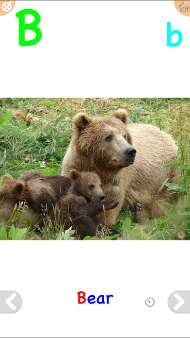 ABC Video Song and Flashcards Animal Preschoolers gallery image