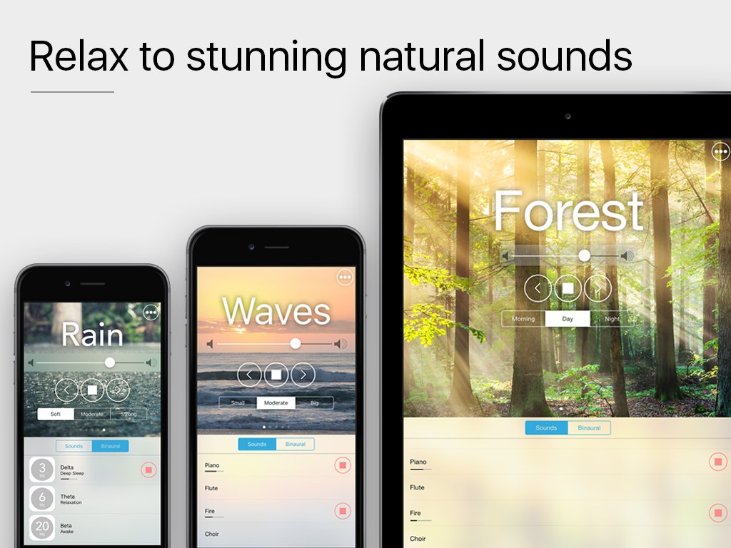 Enlighten gallery image