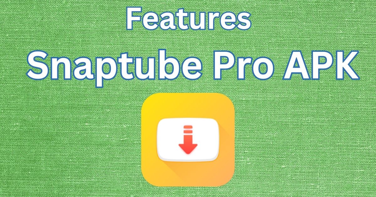 Snaptbai Pro Vigil media 2