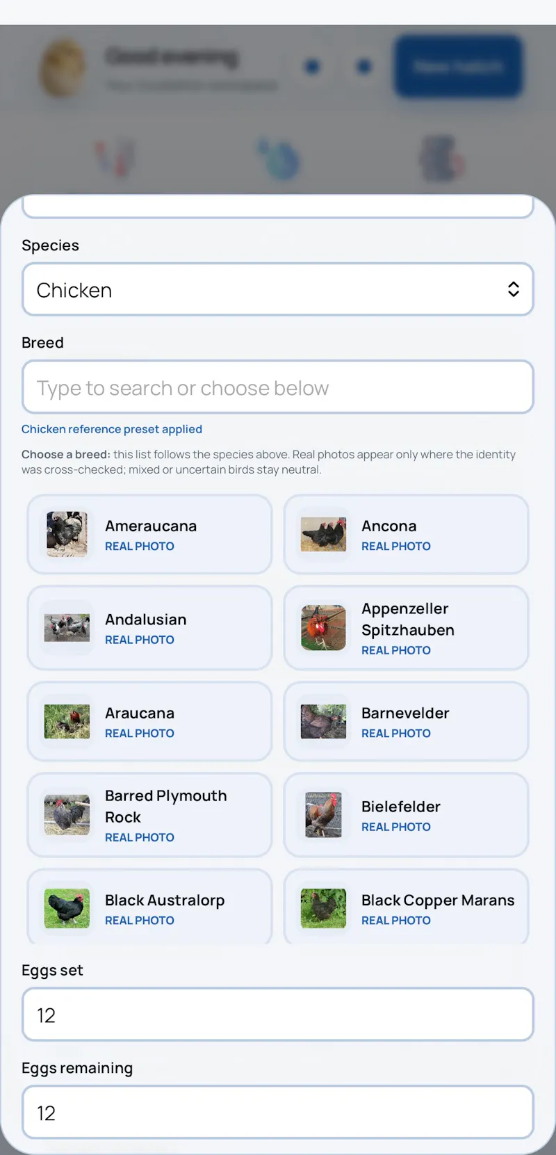 Set2Pip screenshot 3