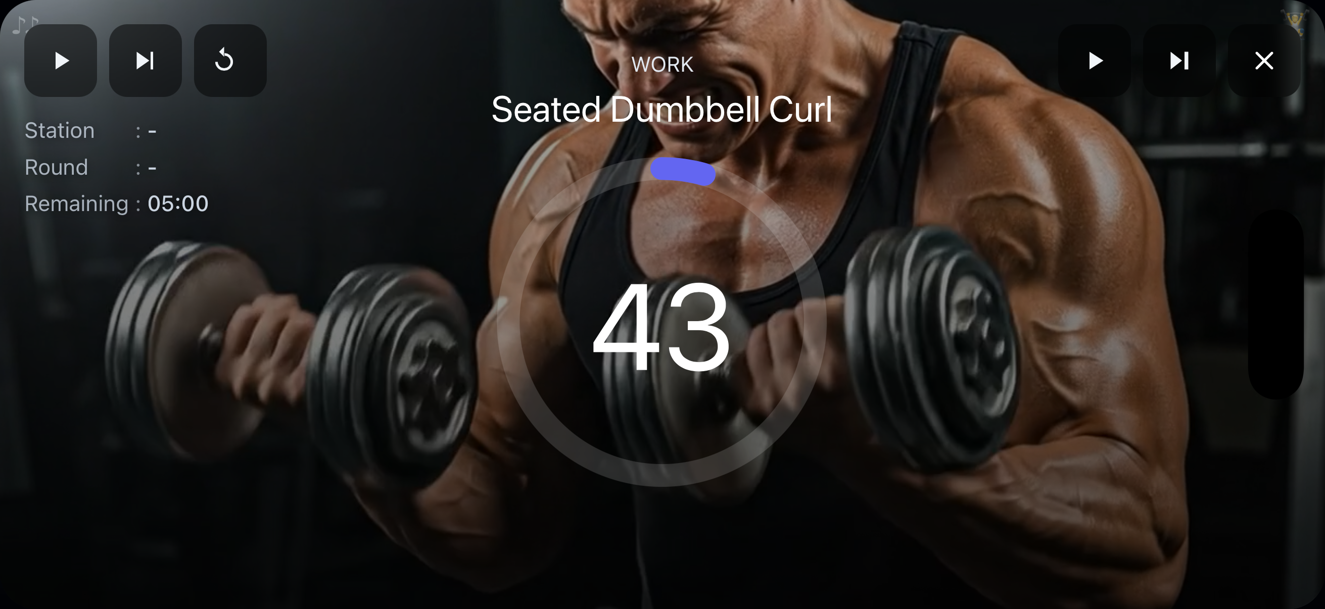 FitCircuitAI gallery image