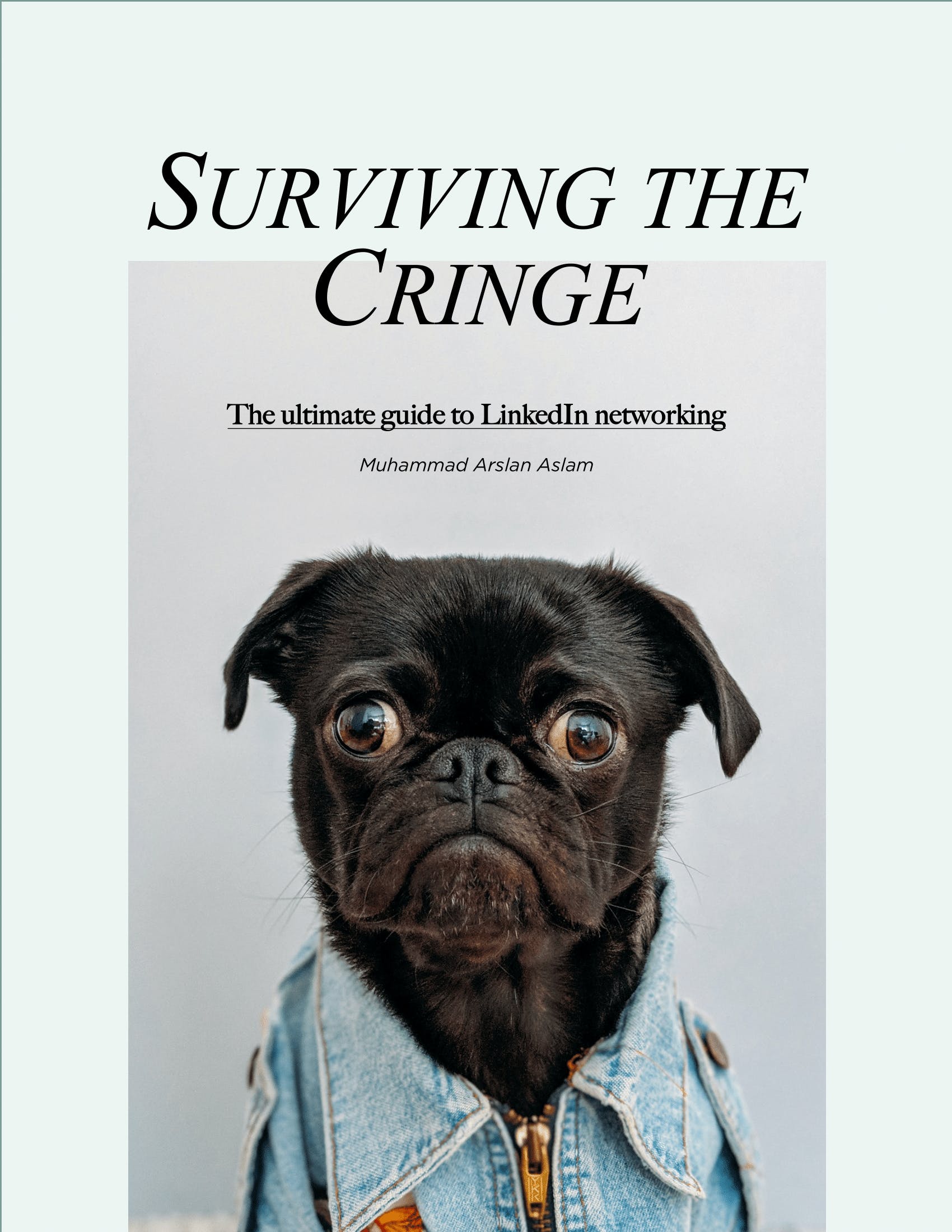 Surviving the Cringe media 1