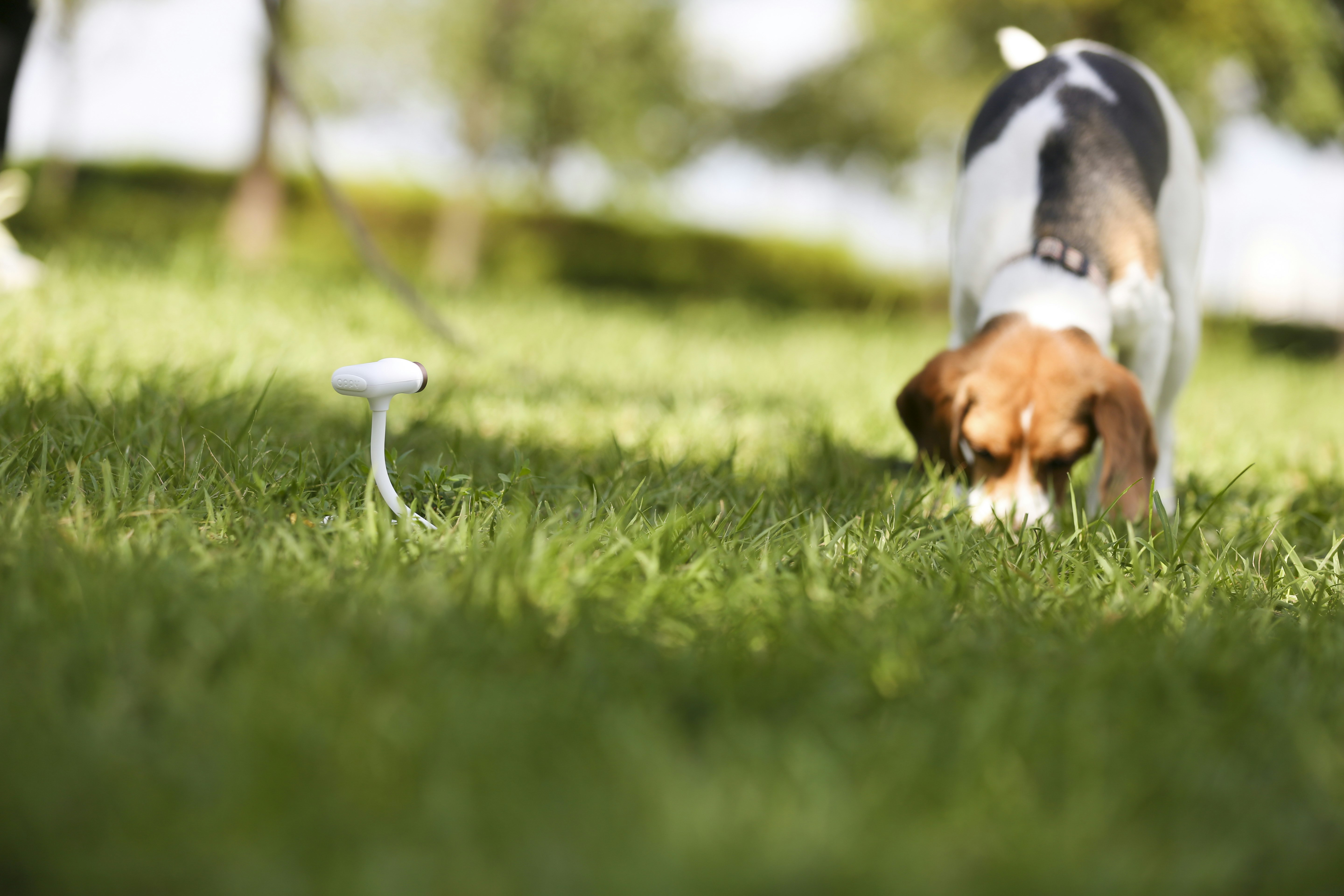 Flex Cam Oppy gallery image