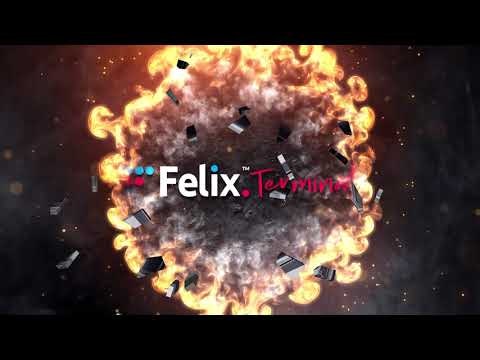 Felix Terminal gallery image