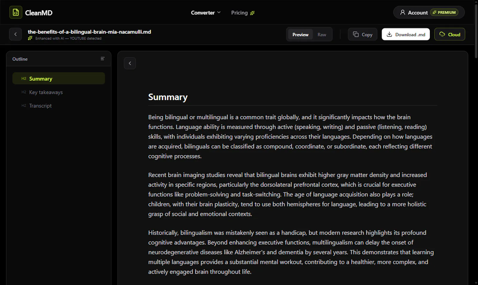 CleanMD screenshot 2