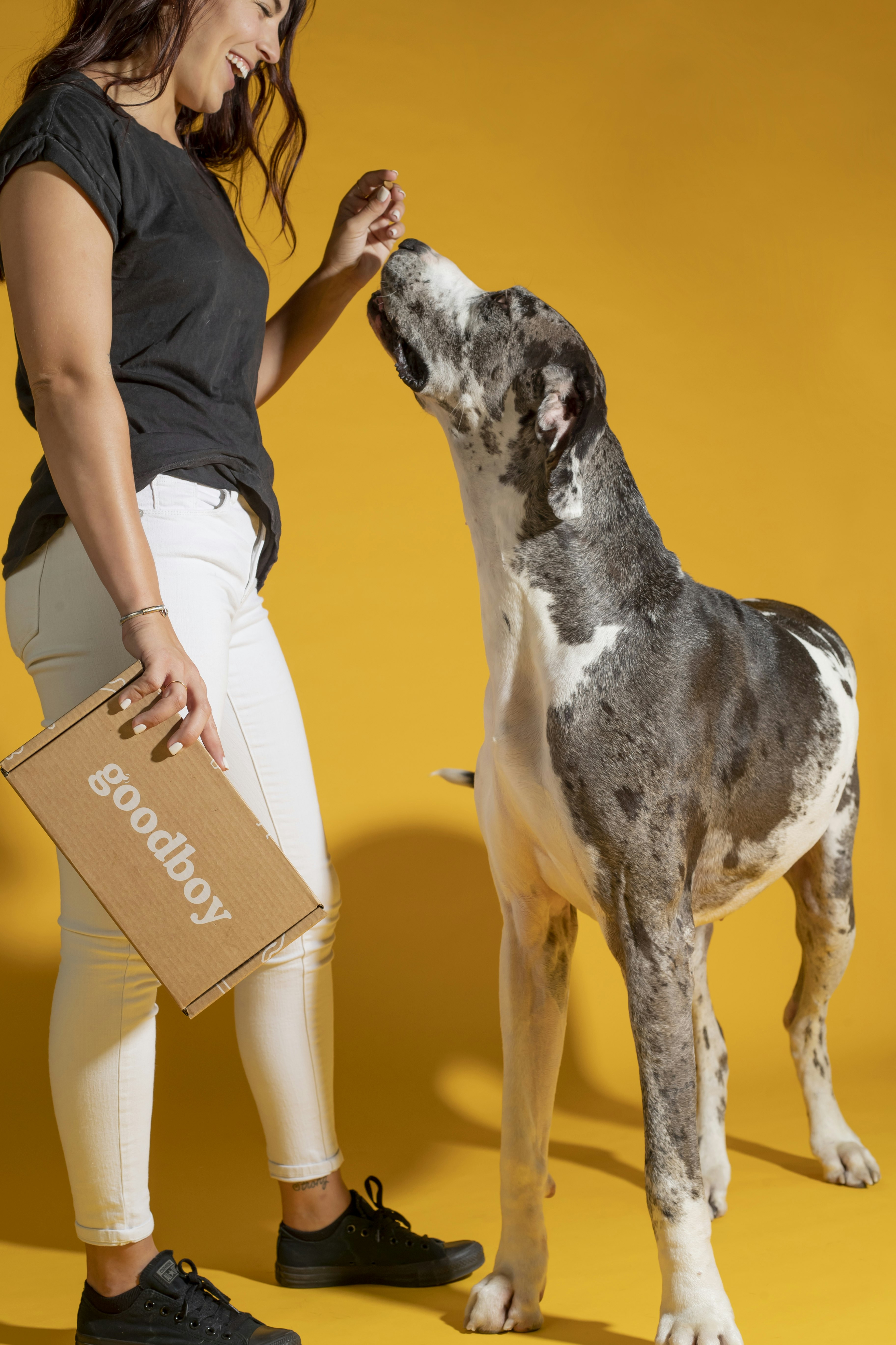 Goodboy gallery image