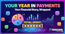 FinnLens - Your Year in Payments Wrapped