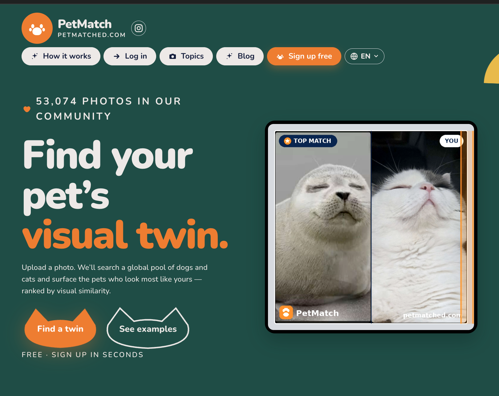 PetMatch gallery image
