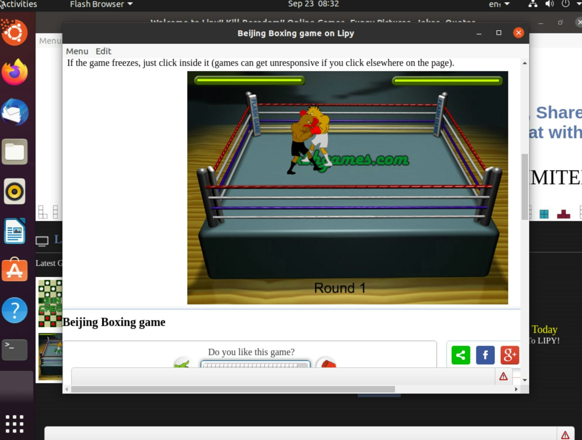 flash browser gallery image