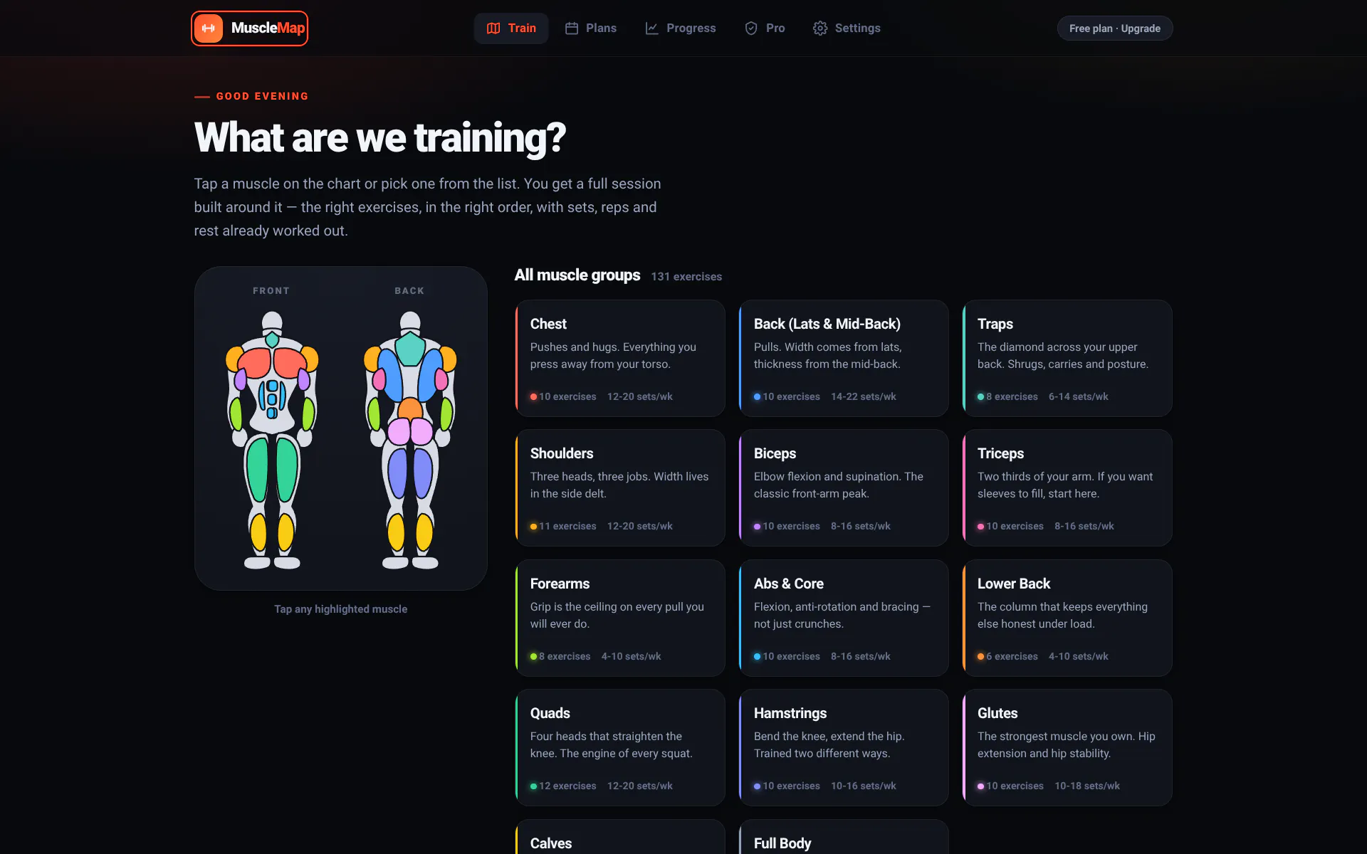 MuscleMap gallery image