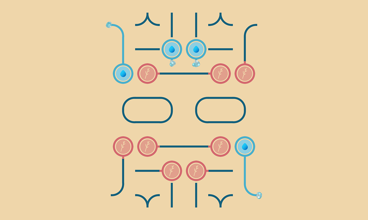 Pipes: Zen Garden gallery image