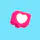 The Feed