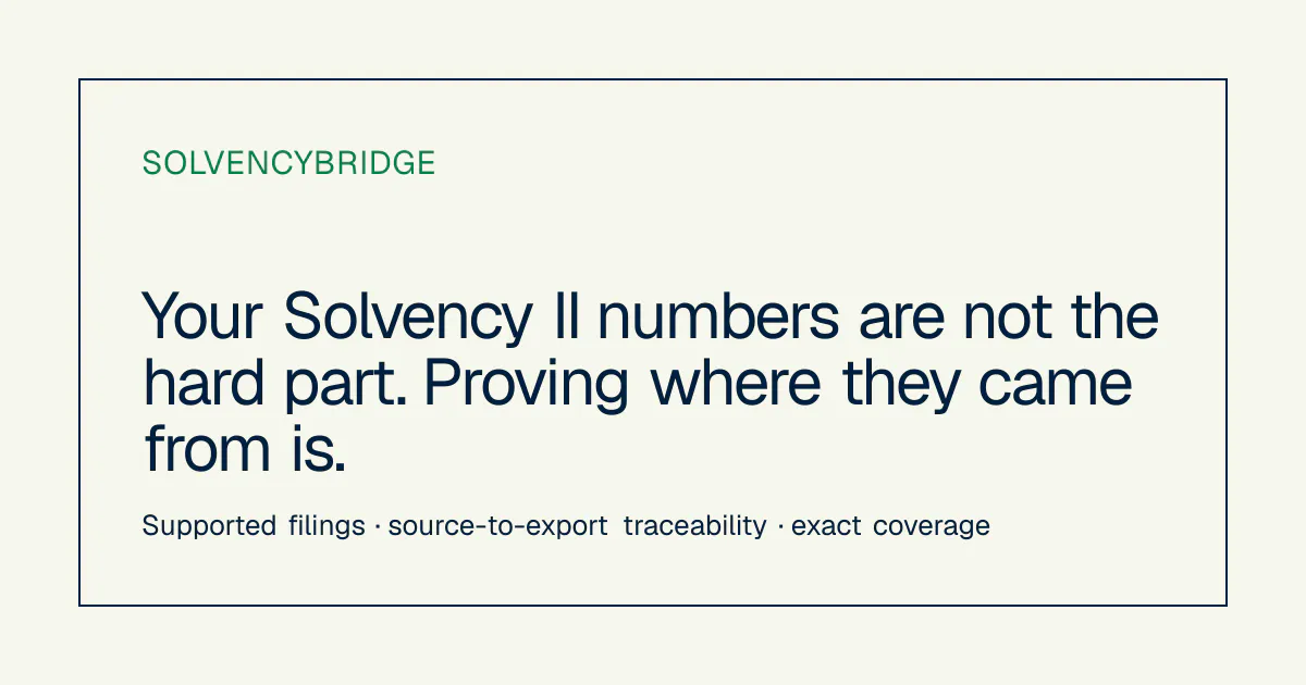 SolvencyBridge gallery image