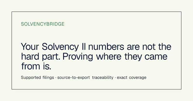 SolvencyBridge screenshot 1