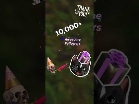 Stareel gallery image